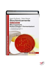 BIOCHIMICAMENTE MICRORGANISMI, BIOTECNOLOGIE E FERMENTAZIONI ˗+ EBOOK