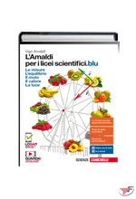 AMALDI PER I LICEI SCIENTIFICI.BLU (L') ˗+ EBOOK