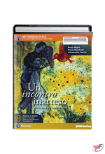 INCONTRO INATTESO B (UN) ˗+ EBOOK