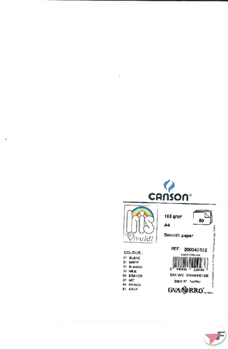 Cartoncino Vivaldi Canson 185 G/mq 50 Fogli A4 Bianco CANSON - C200040152